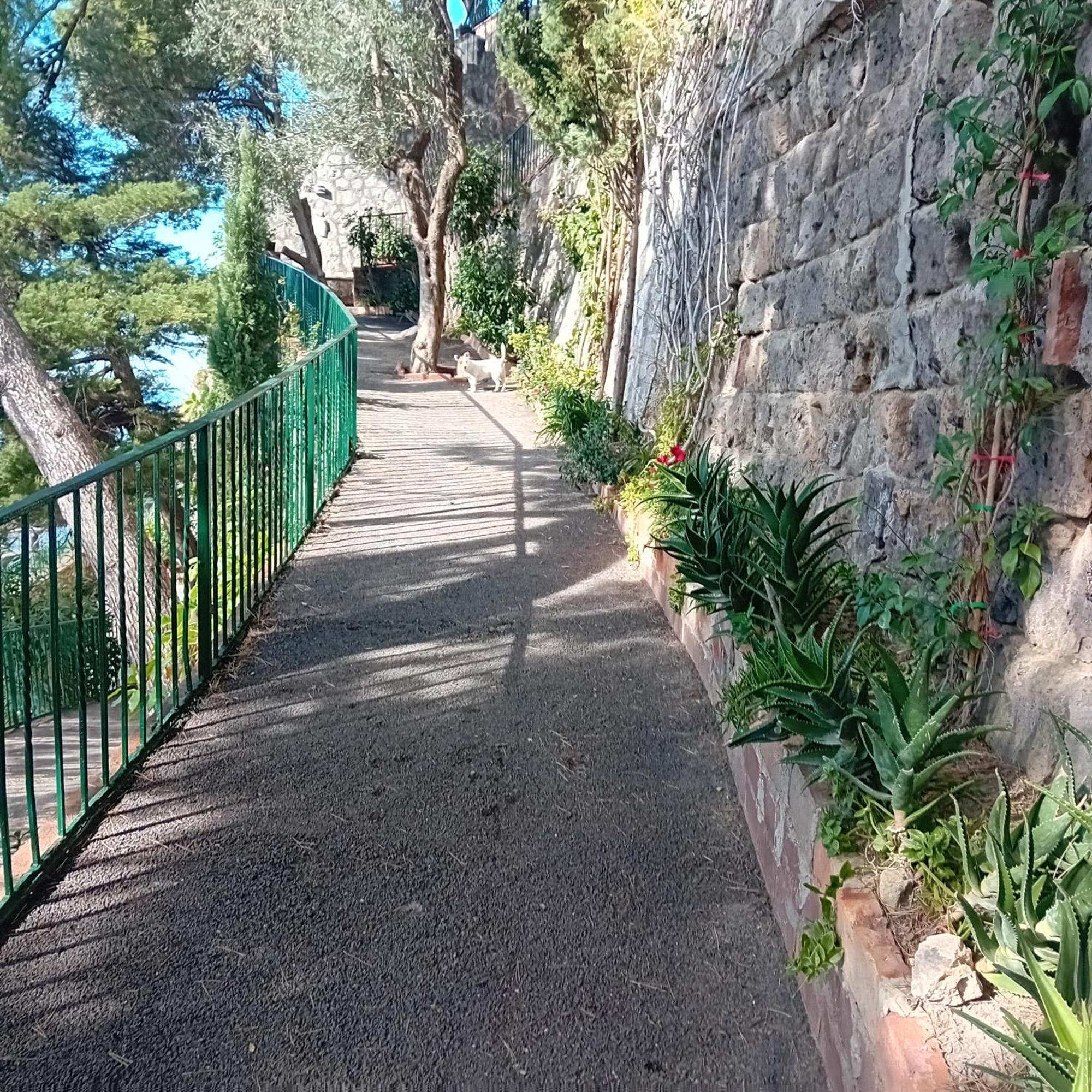 Villa La Galetta Vico Equense Exterior foto